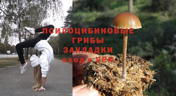метадон Ельня