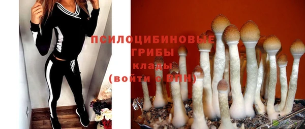 ГАЛЛЮЦИНОГЕННЫЕ ГРИБЫ Елизово