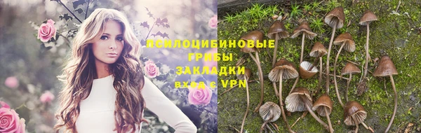 ГАЛЛЮЦИНОГЕННЫЕ ГРИБЫ Елизово
