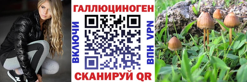 Галлюциногенные грибы GOLDEN TEACHER Урень